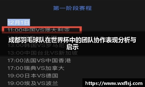 成都羽毛球队在世界杯中的团队协作表现分析与启示