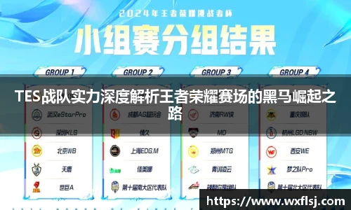 TES战队实力深度解析王者荣耀赛场的黑马崛起之路